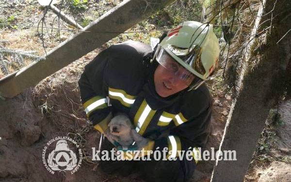 Kiskutyát mentettek a dombóvári tűzoltók