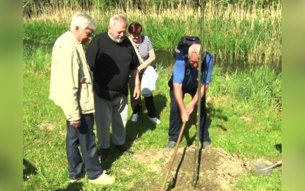 Az asztma világnapját ünnepelték